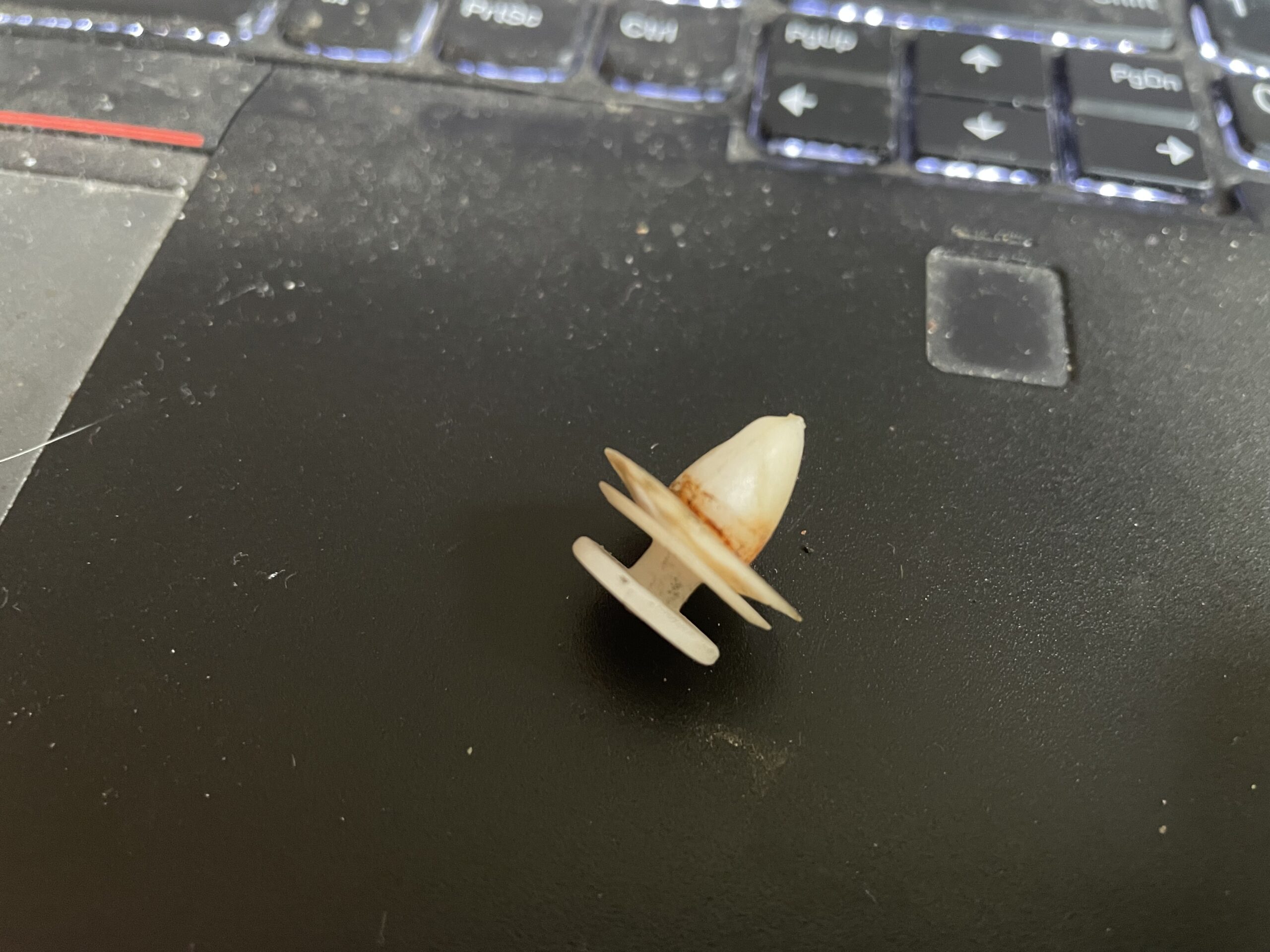 20231107-150203-Saint-Ambroise-De-Kildare-2023