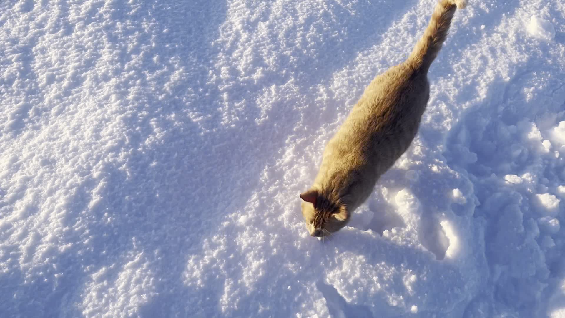 20240204-163436-Unknown-2024