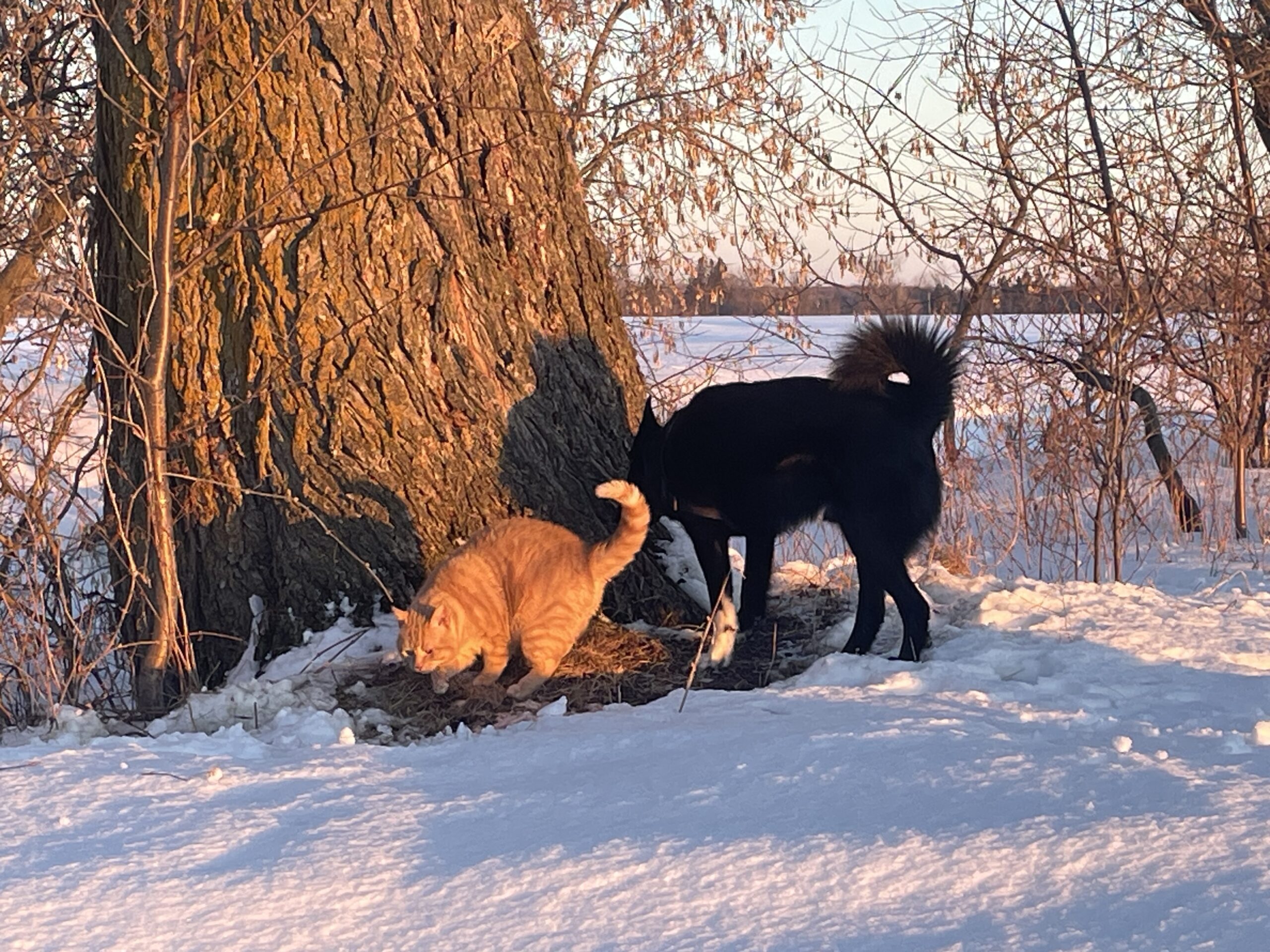 20240204-164821-Unknown-2024