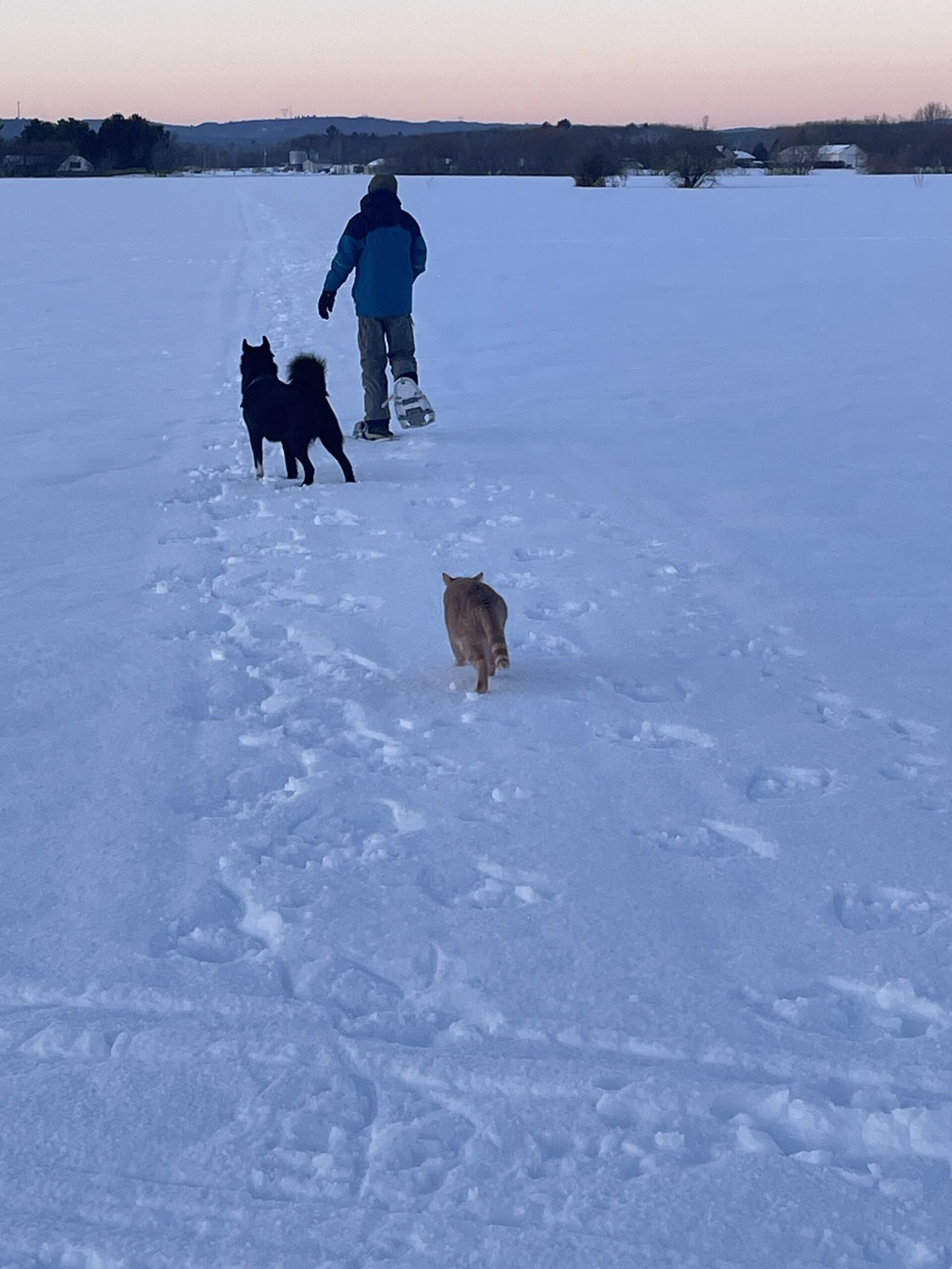 20240204-165411-Unknown-2024