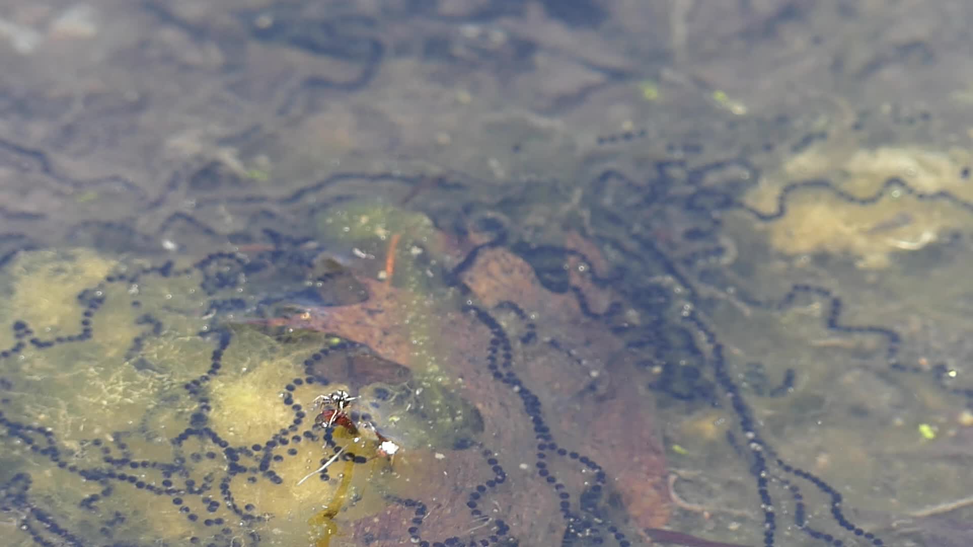 20240502-153931-School-Joliette-2024