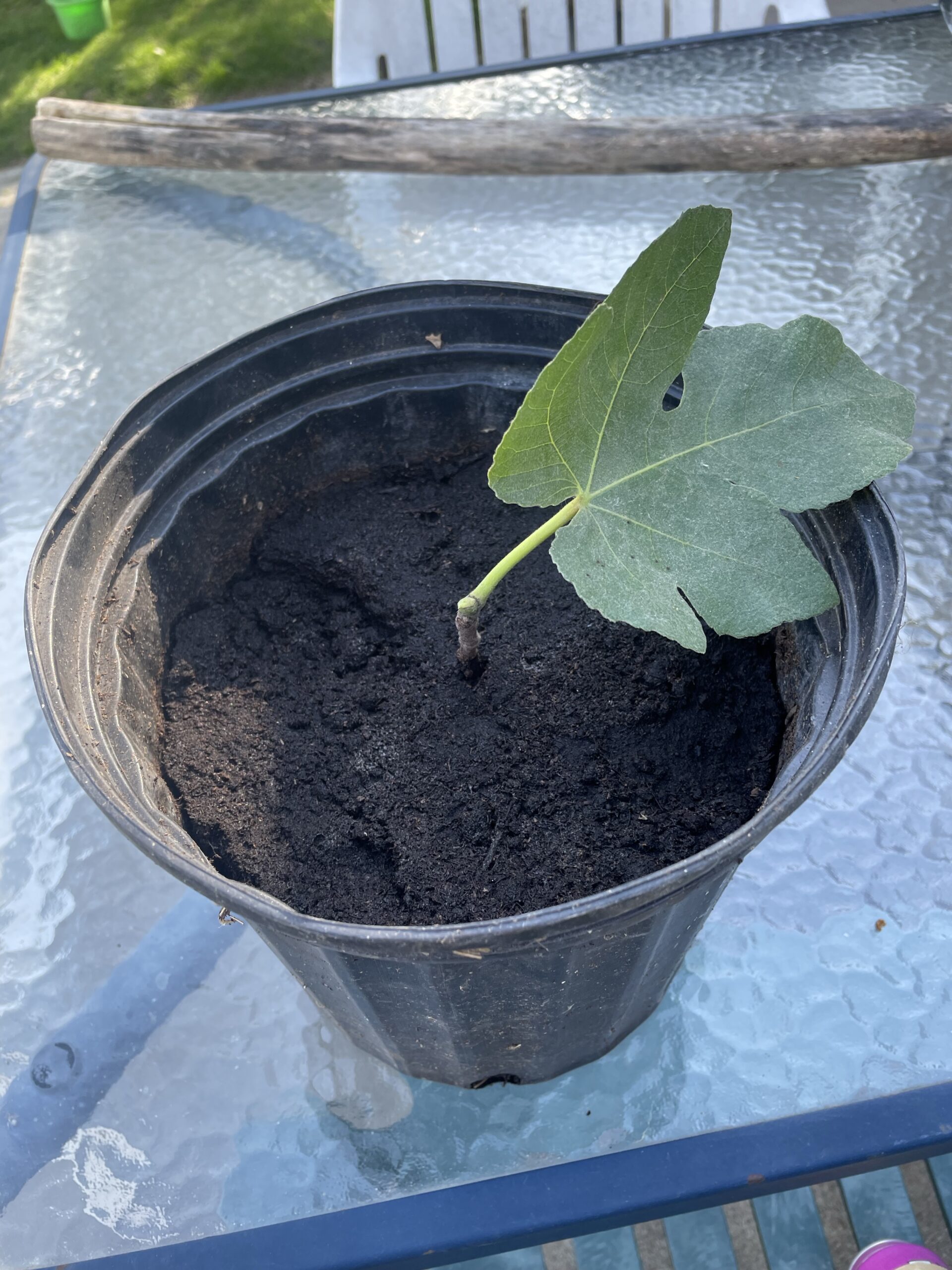 20240512-165507-Recentes-2024