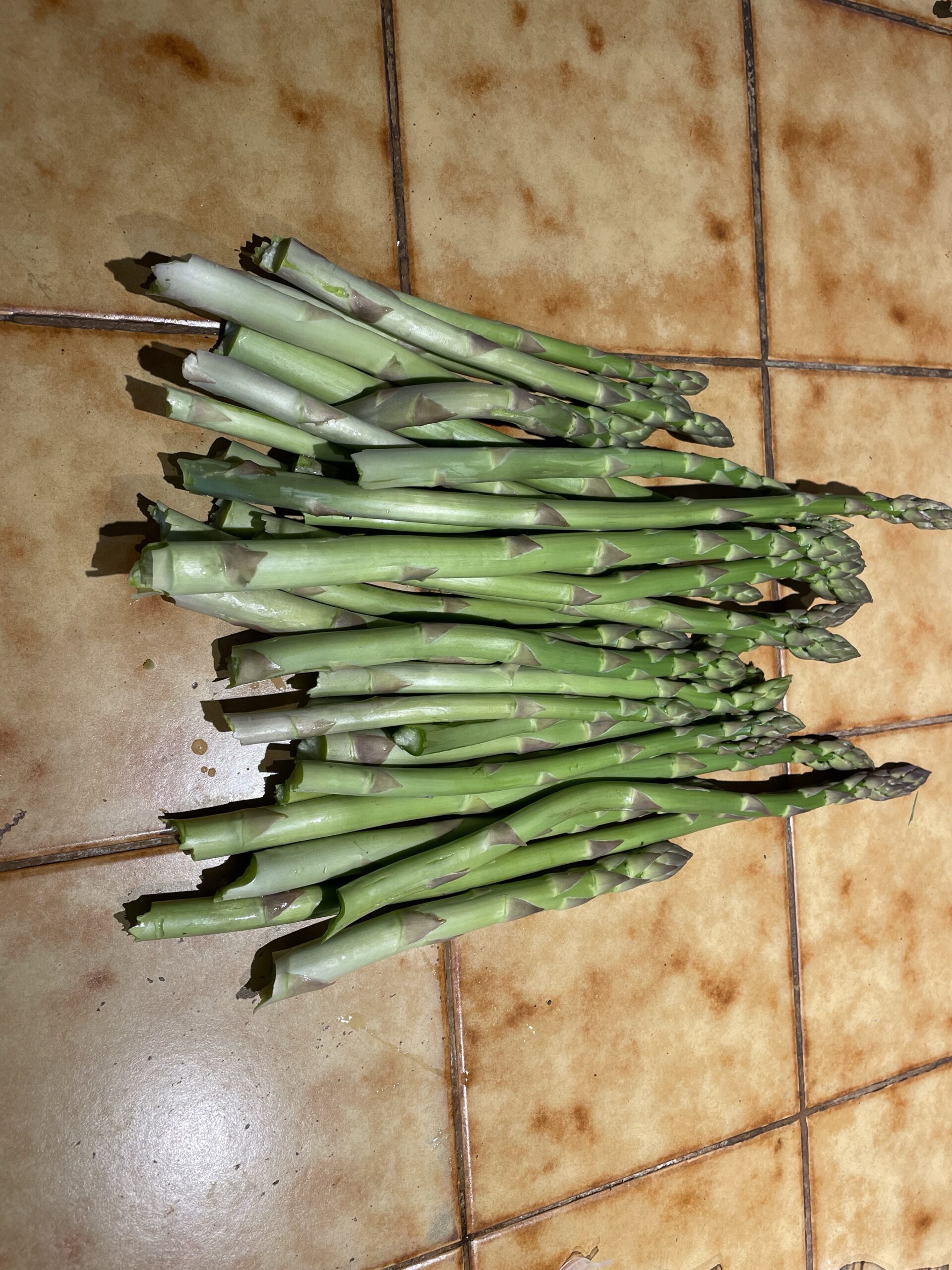 20240514-181654-Recentes-Canada-2024