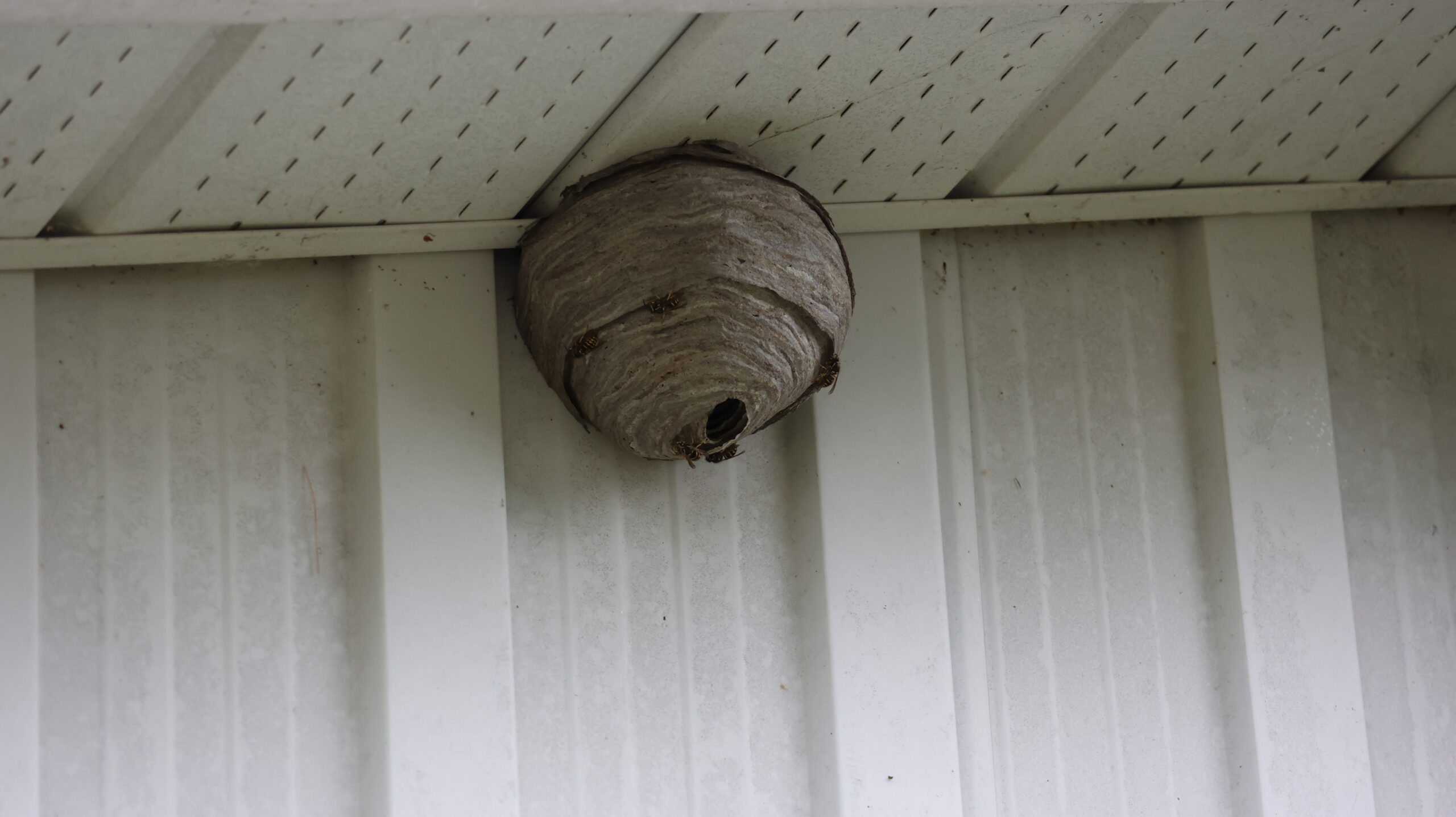 20240710-111344-Unknown-2024