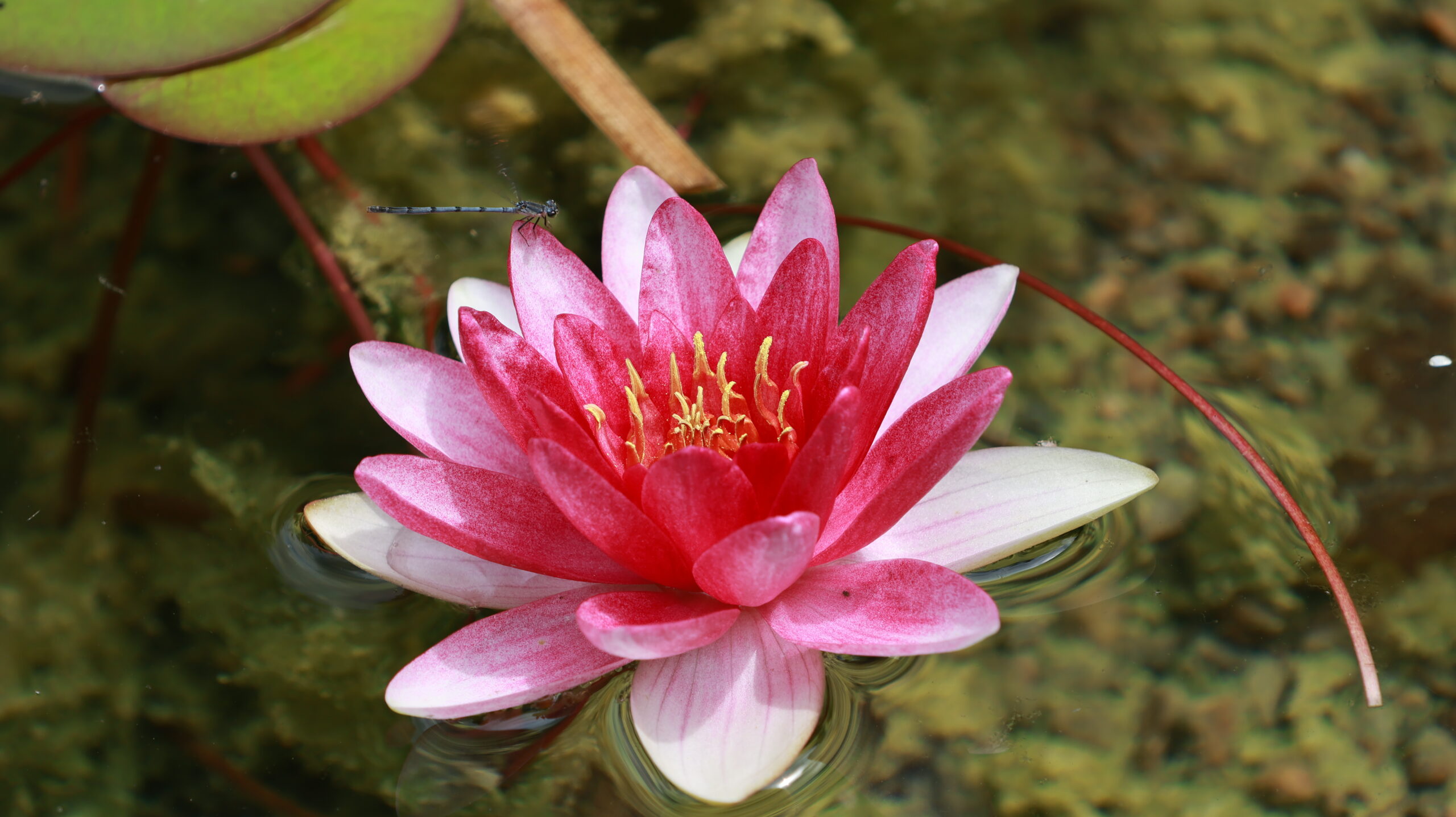 20240717-120535-Unknown-2024