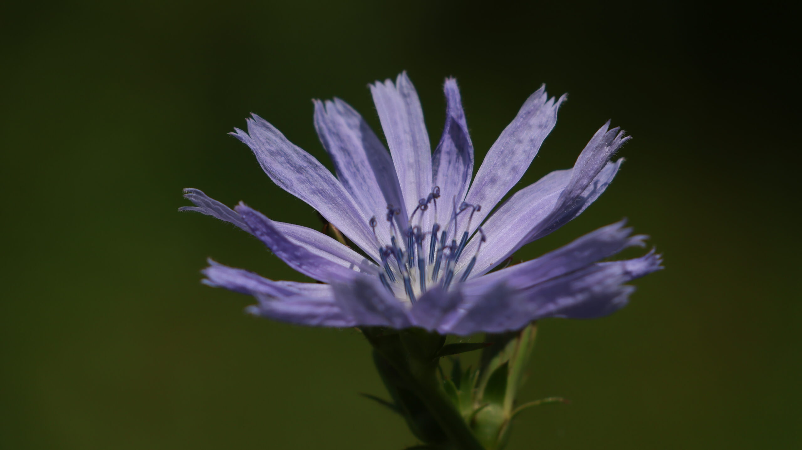 20240717-121334-Unknown-2024