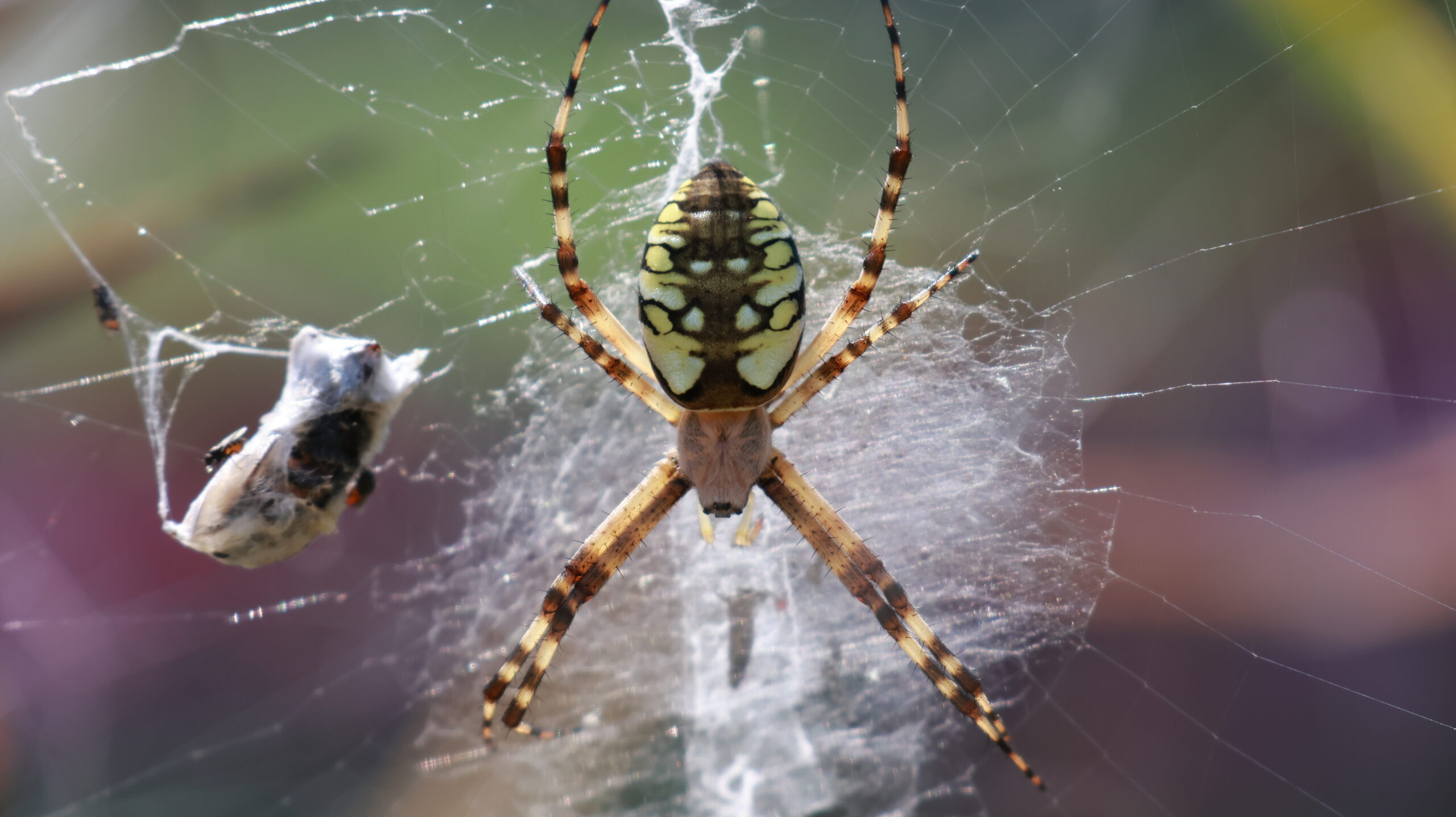 20240722-150402-Unknown-2024