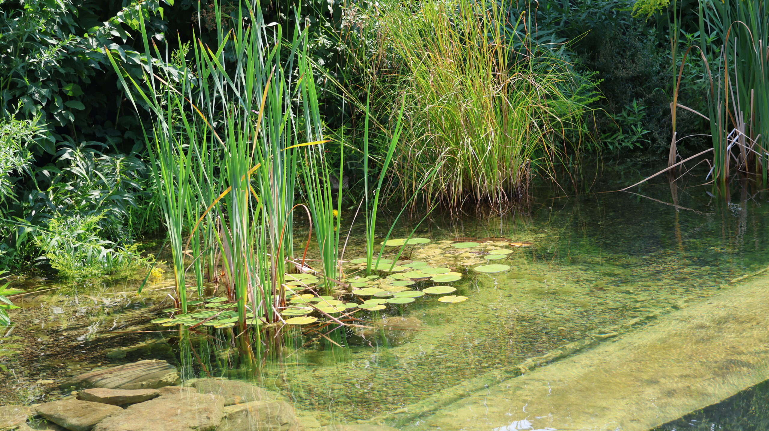 20240803-104759-Unknown-2024