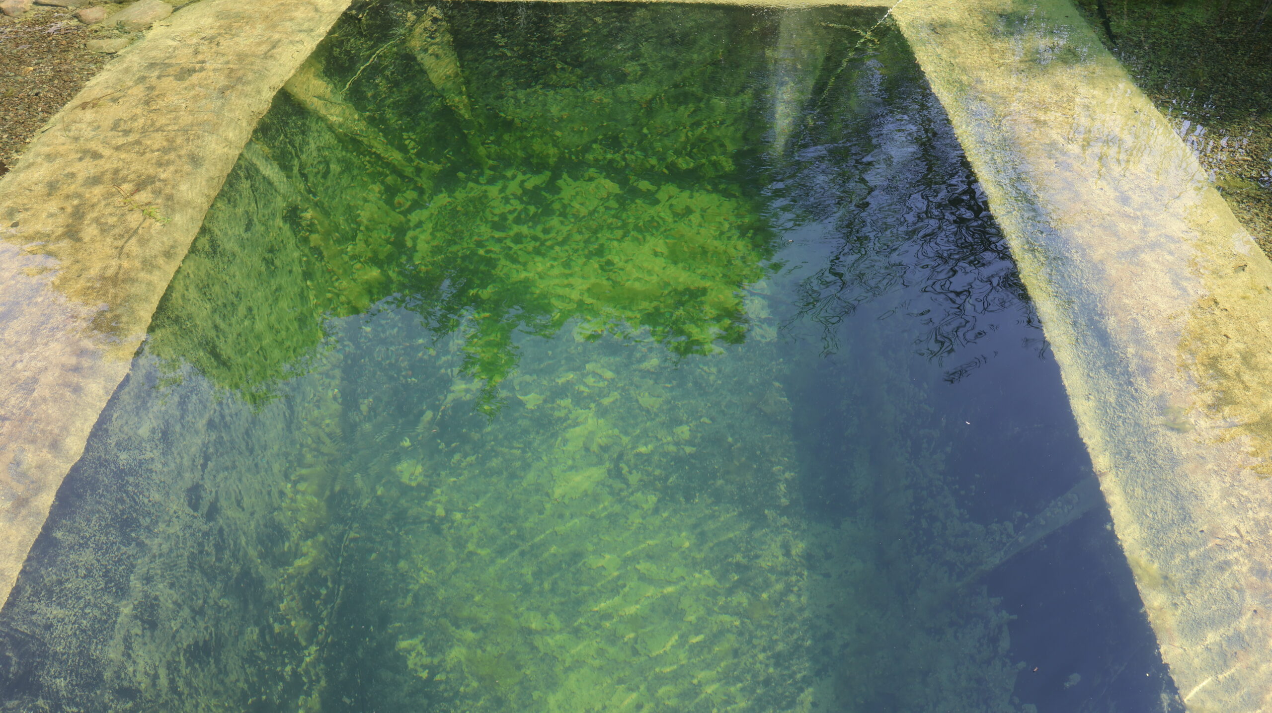 20240803-104825-Portrait-2024