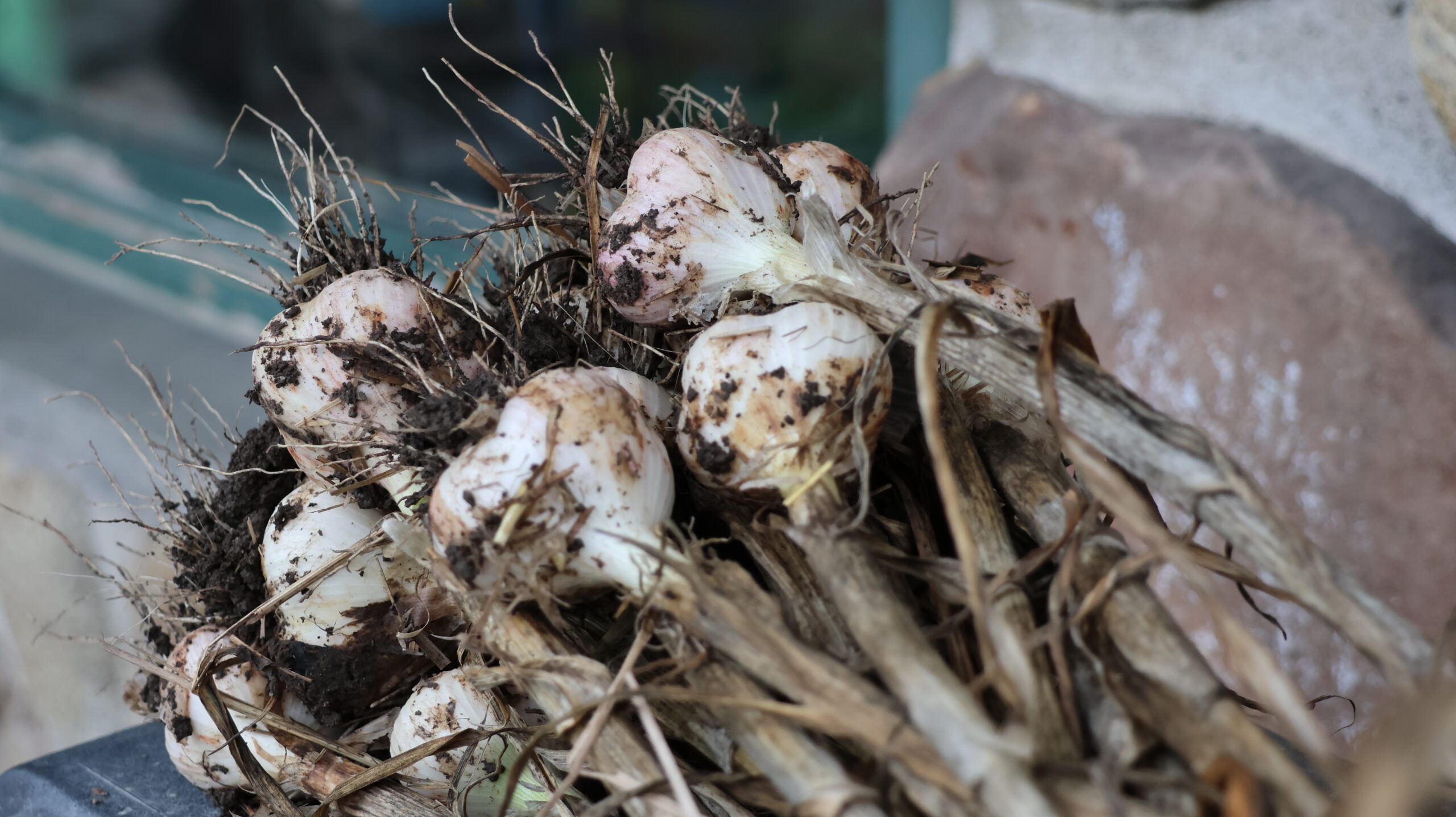 20240804-191547-Outdoor-2024