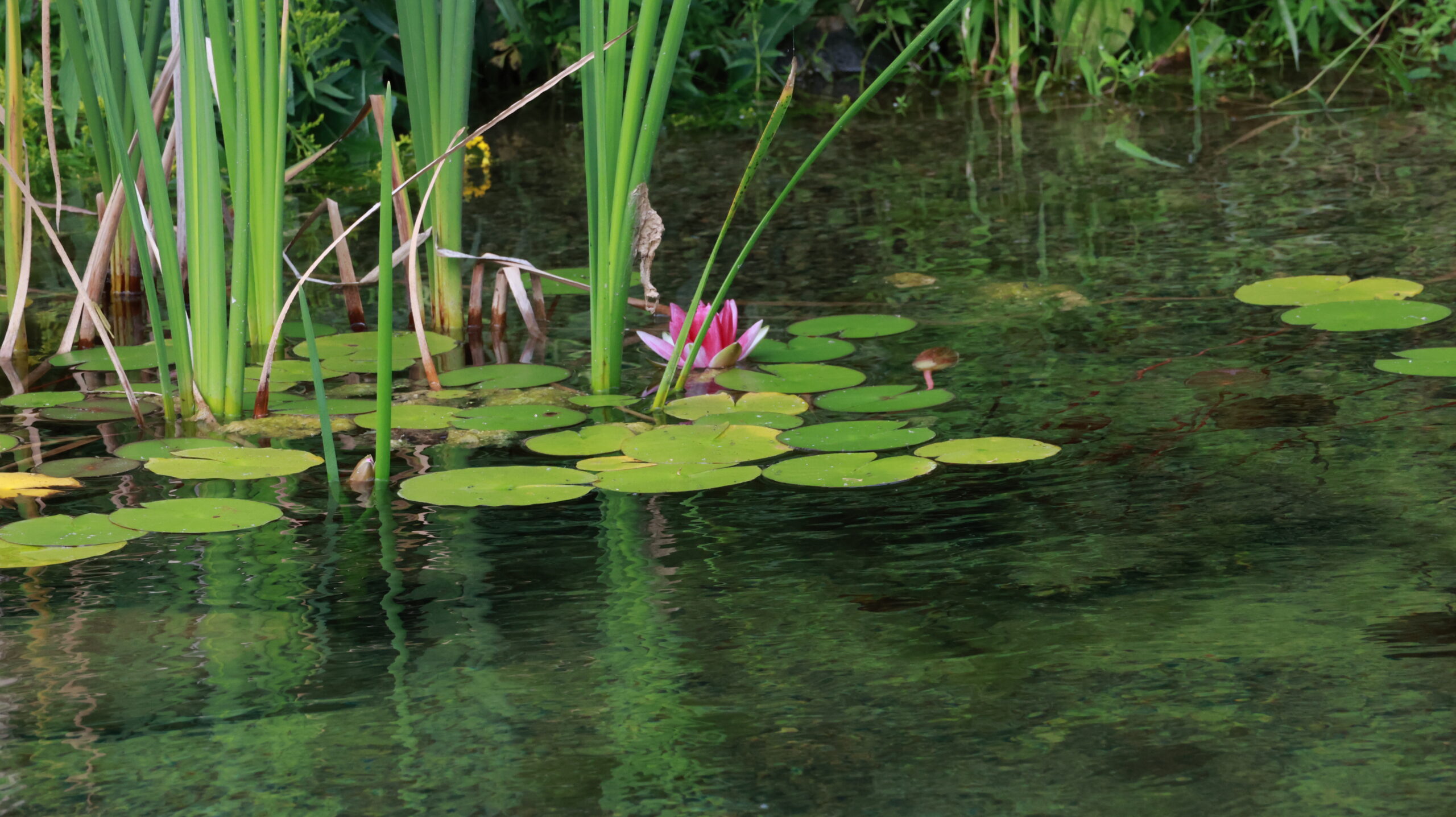 20240808-173939-Unknown-2024