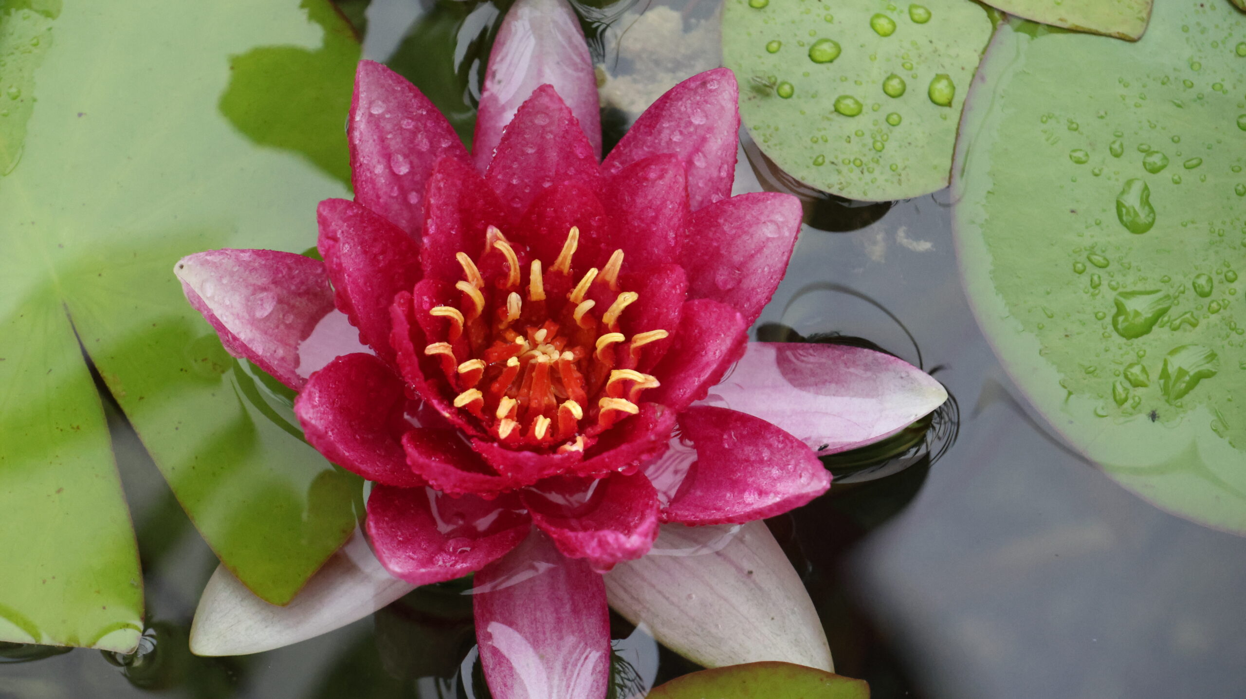 20240809-171444-Unknown-2024