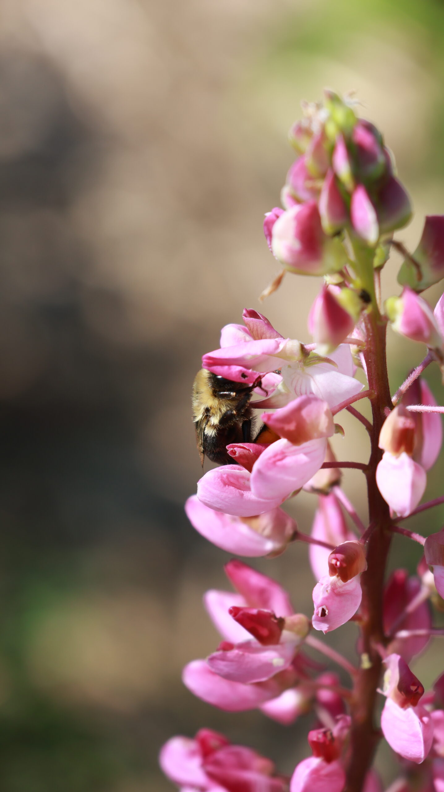 20240914-122216-Unknown-2024