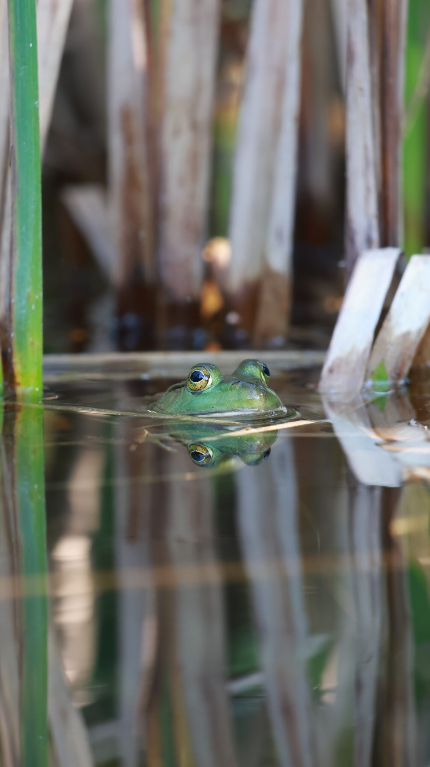 20240914-140512-Moment-2024