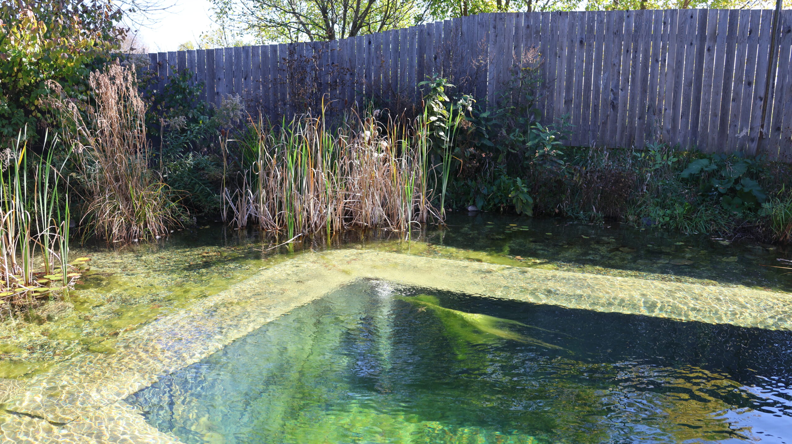 20240930-105655-Landscape-2024