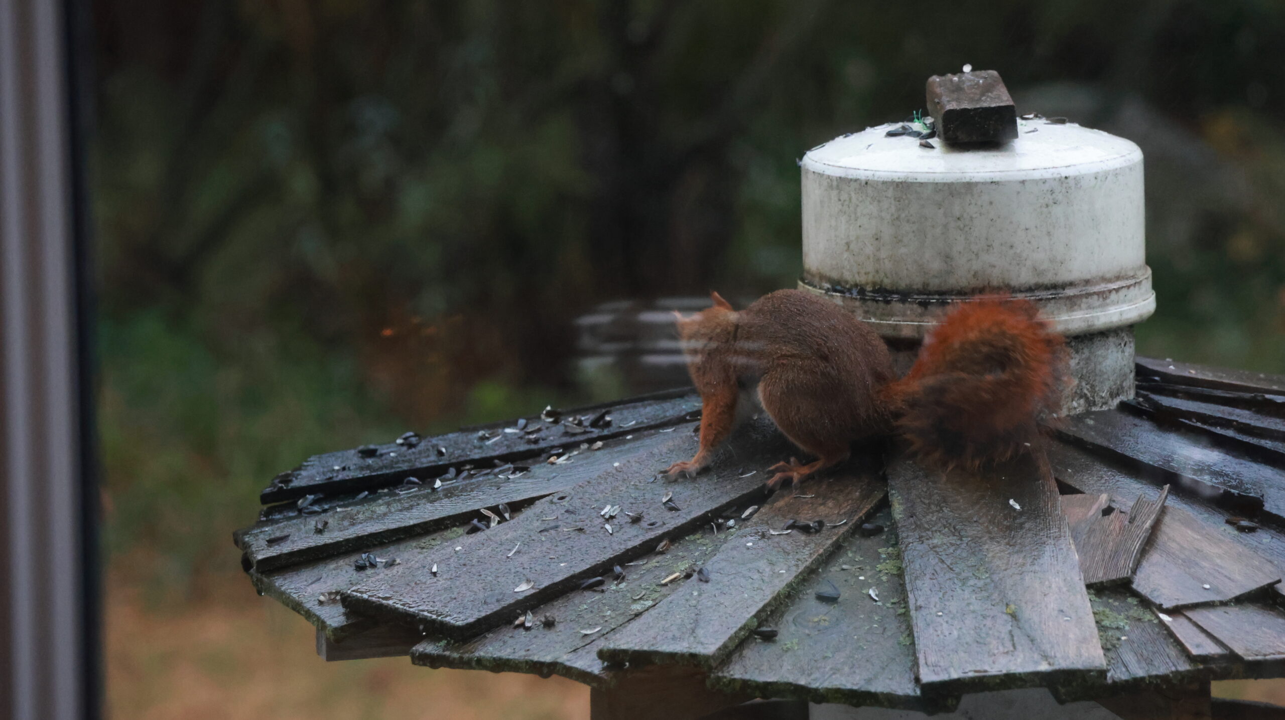 20241002-175704-Unknown-2024