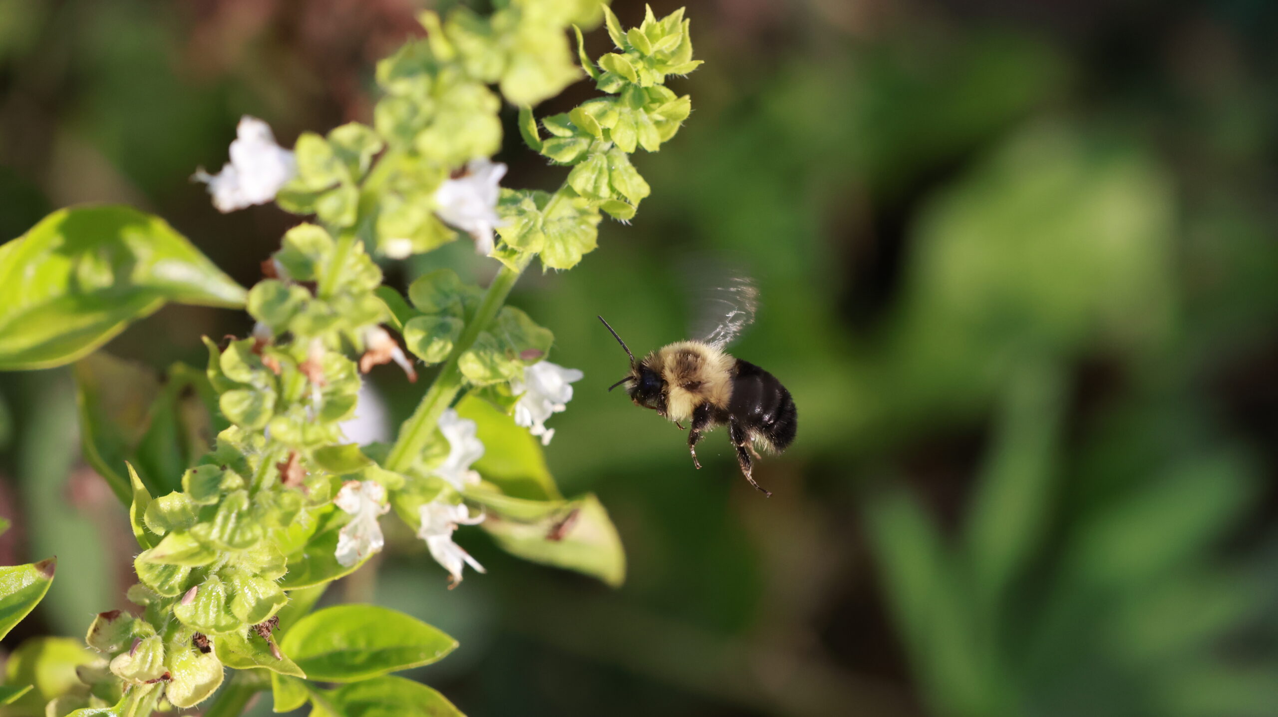 20241005-163010-Unknown-2024