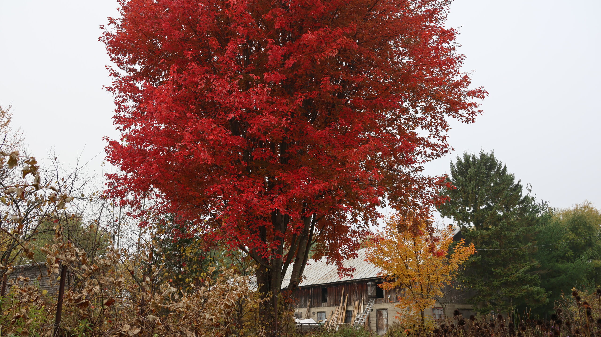 20241020-093802-Unknown-2024