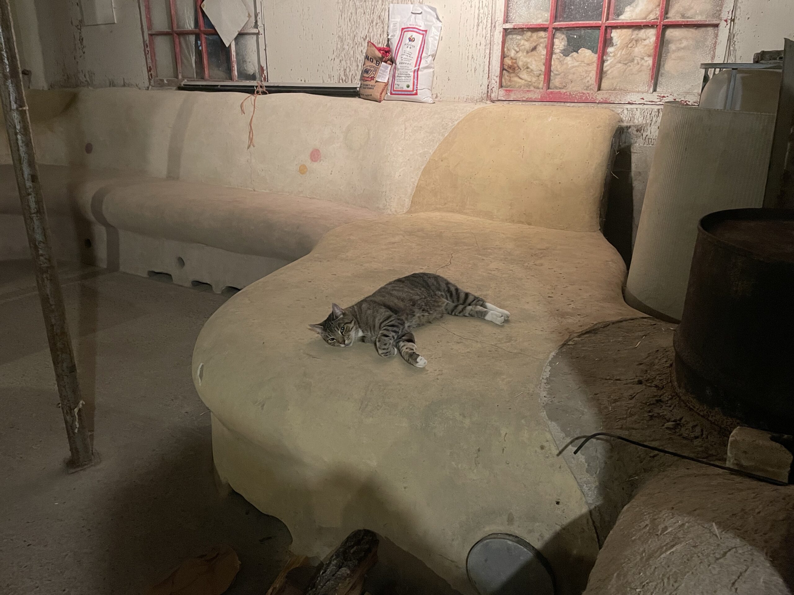 20241027-225959-Recentes-2024