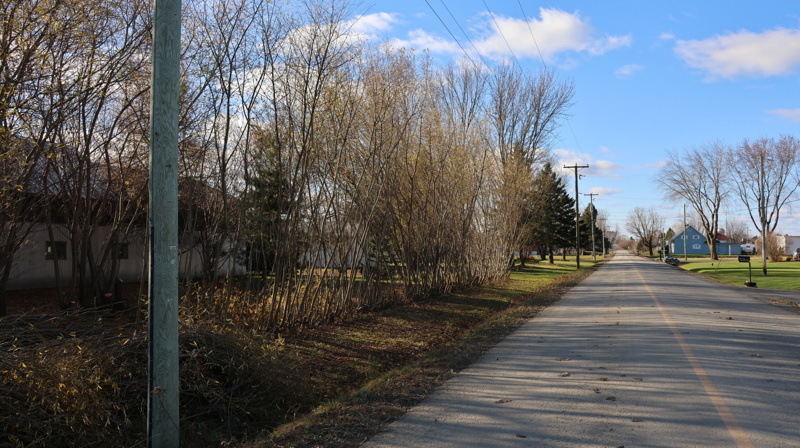 20241107-103425-Outdoor-2024