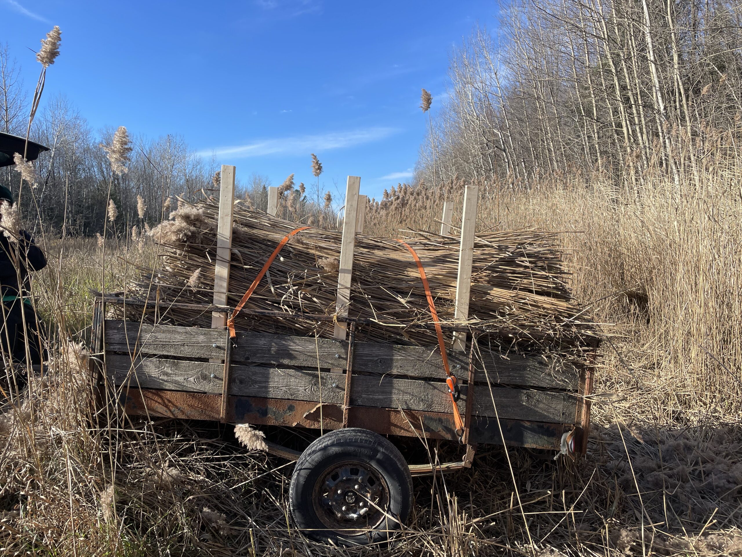 20241107-125330-Recentes-2024