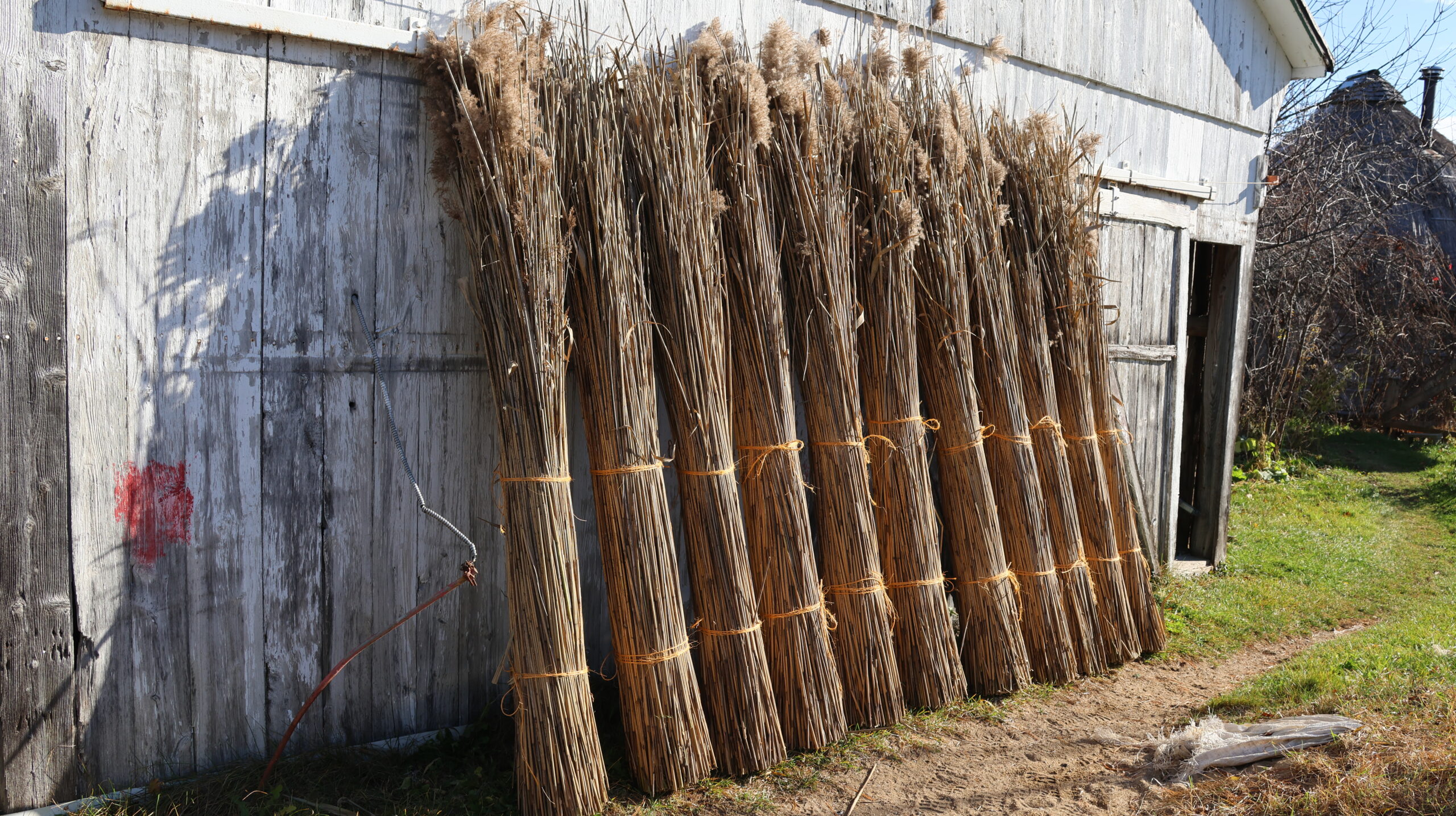 20241108-111851-Outdoor-2024