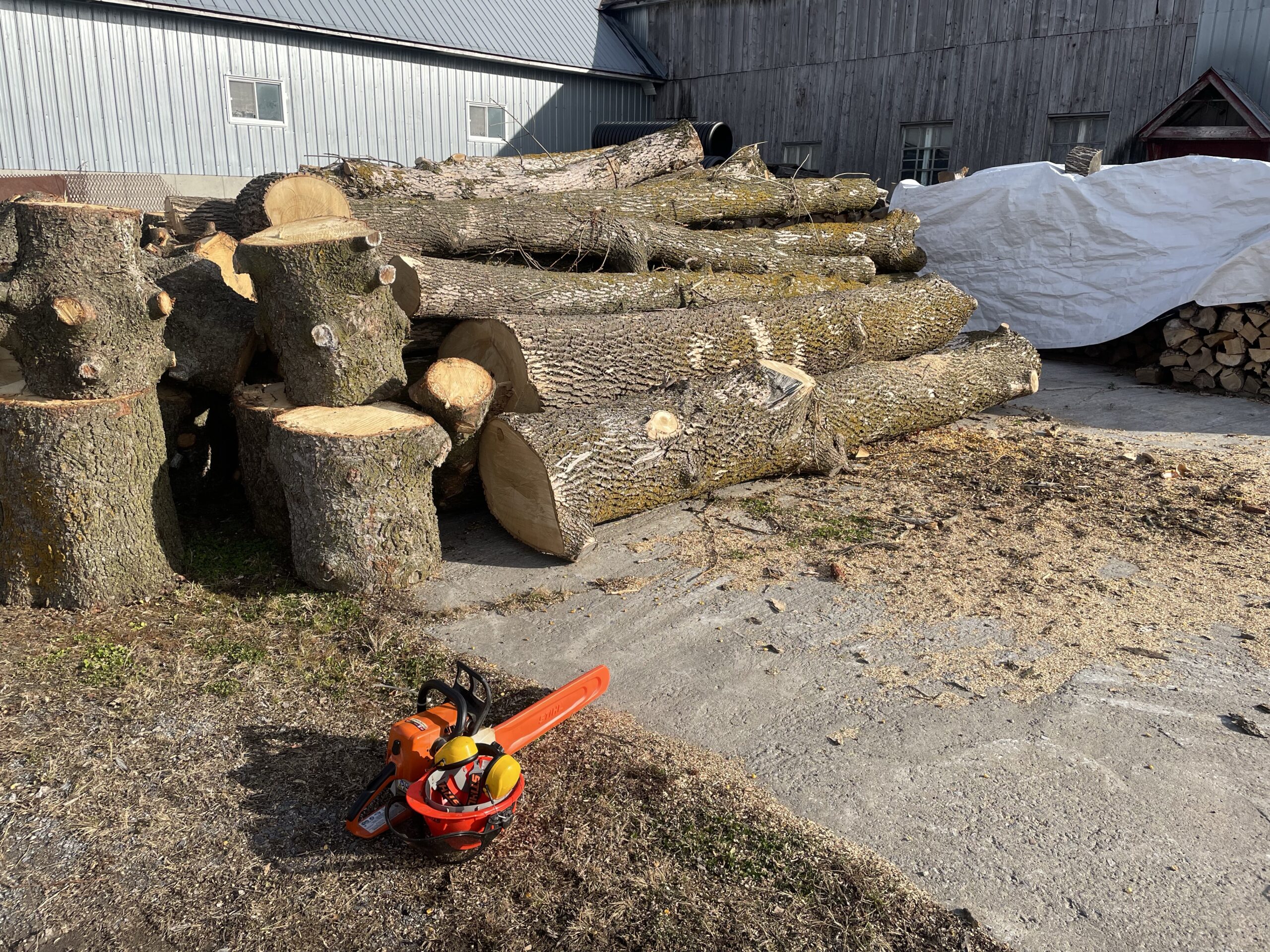 20241117-123510-Recentes-2024