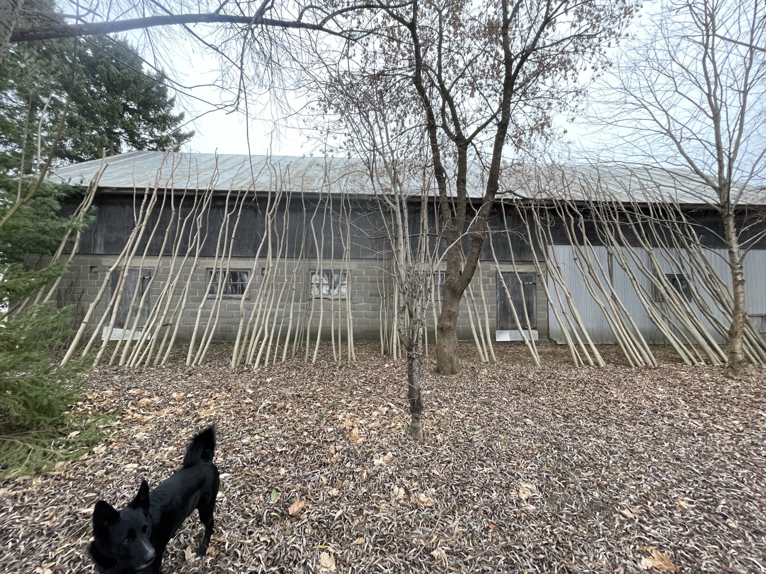 20241117-153257-Recentes-2024