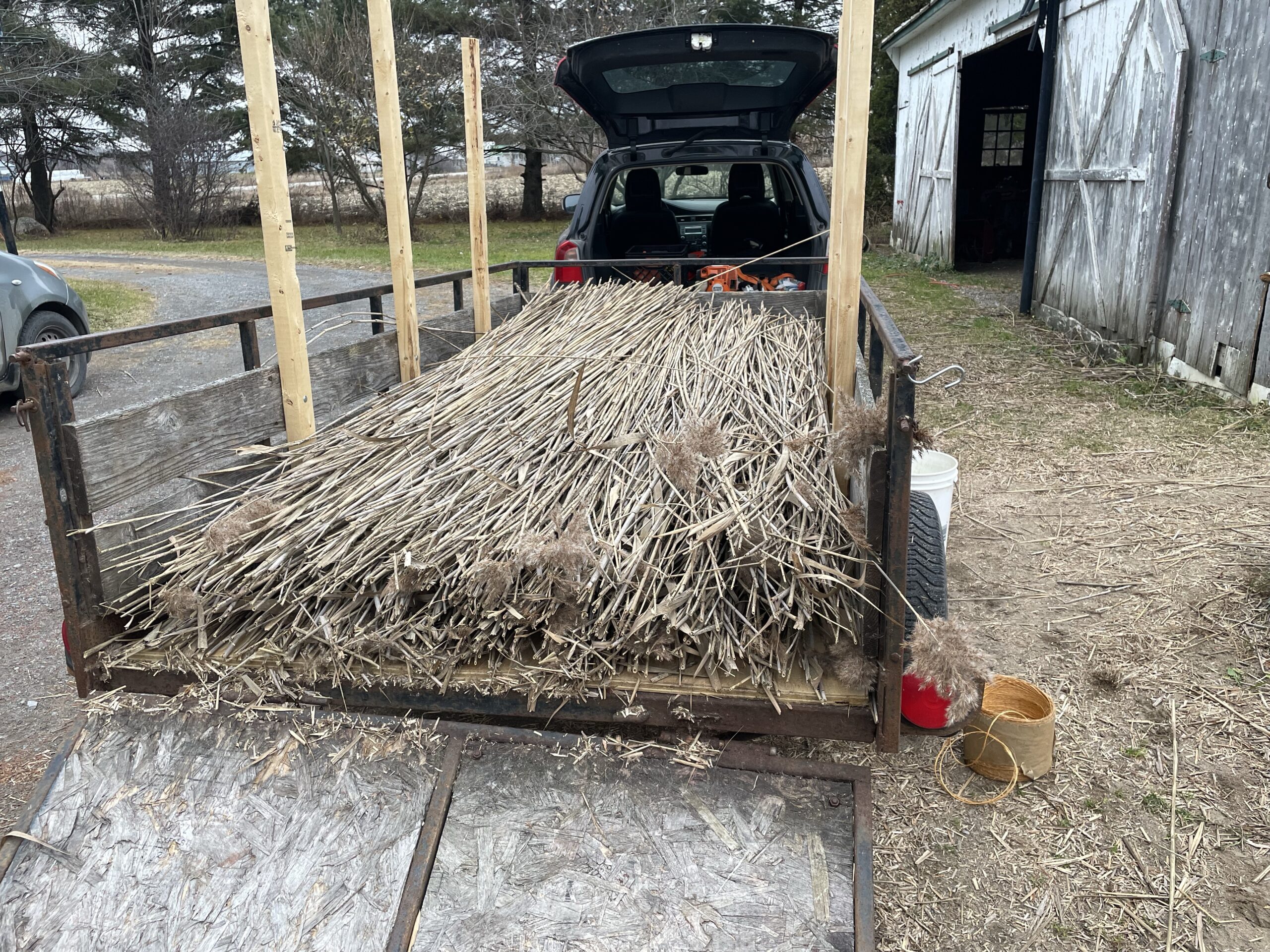 20241120-151615-Recentes-2024