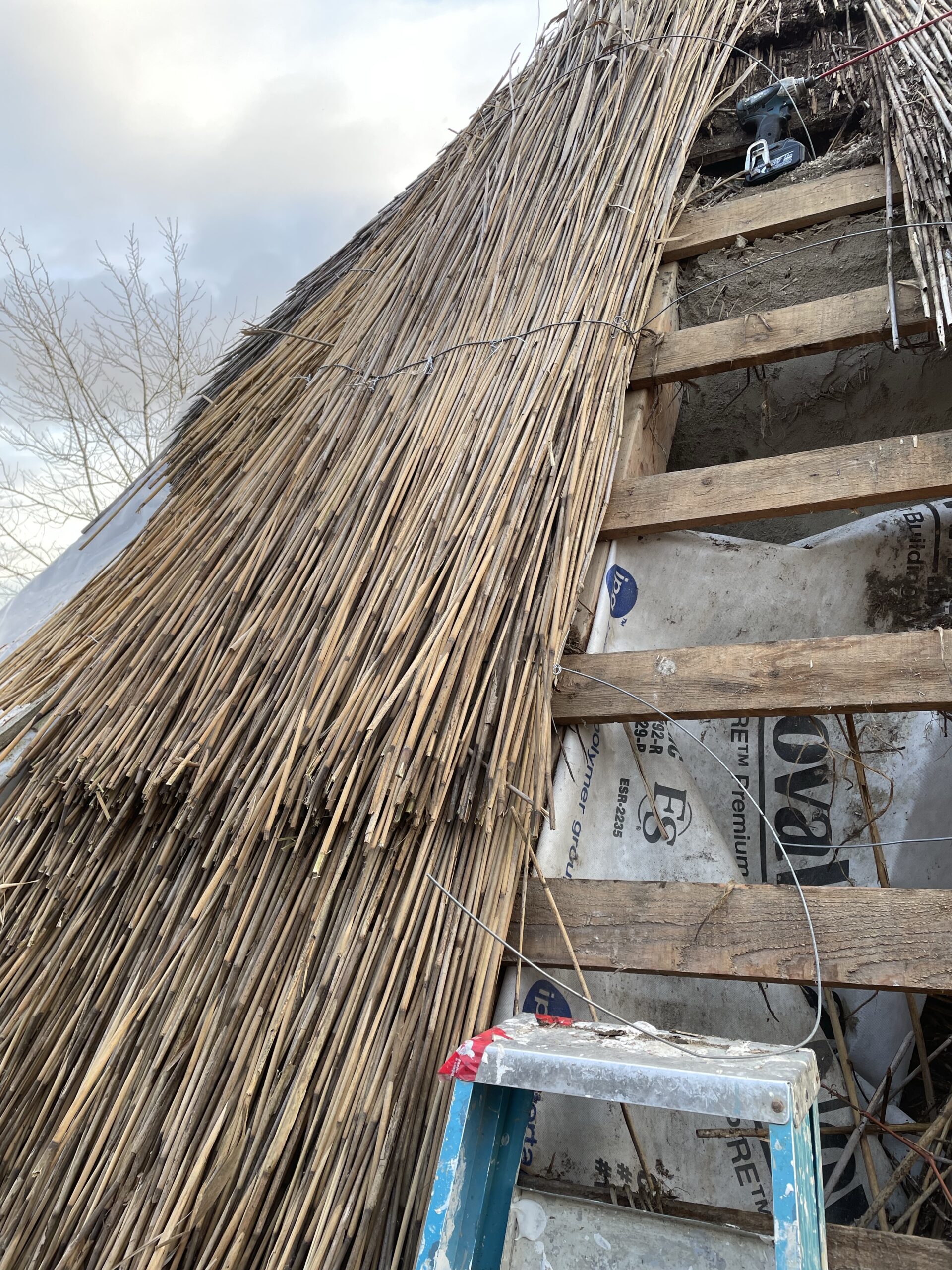 20241202-151635-Recentes-2024