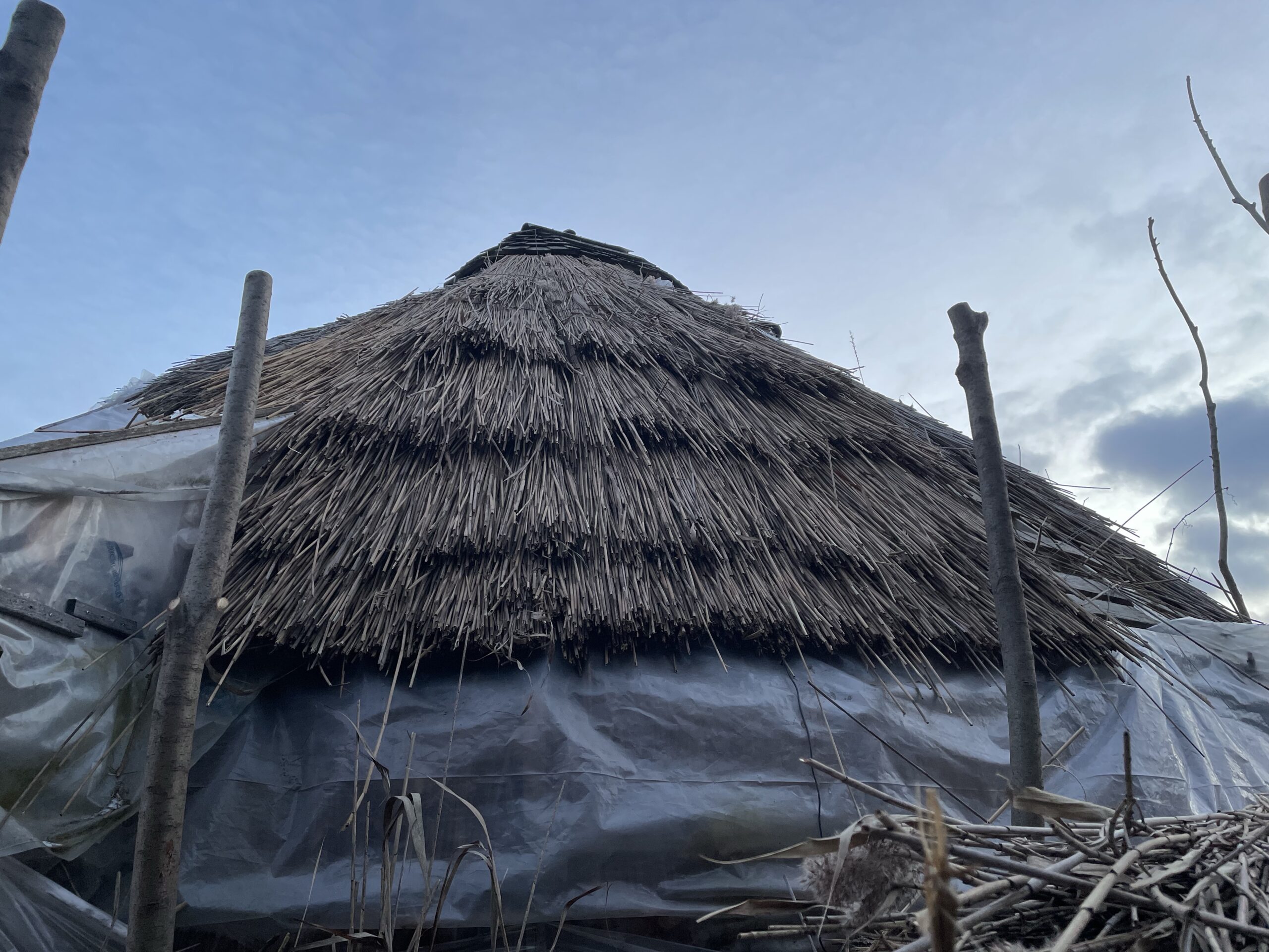 20241203-161425-Recentes-2024