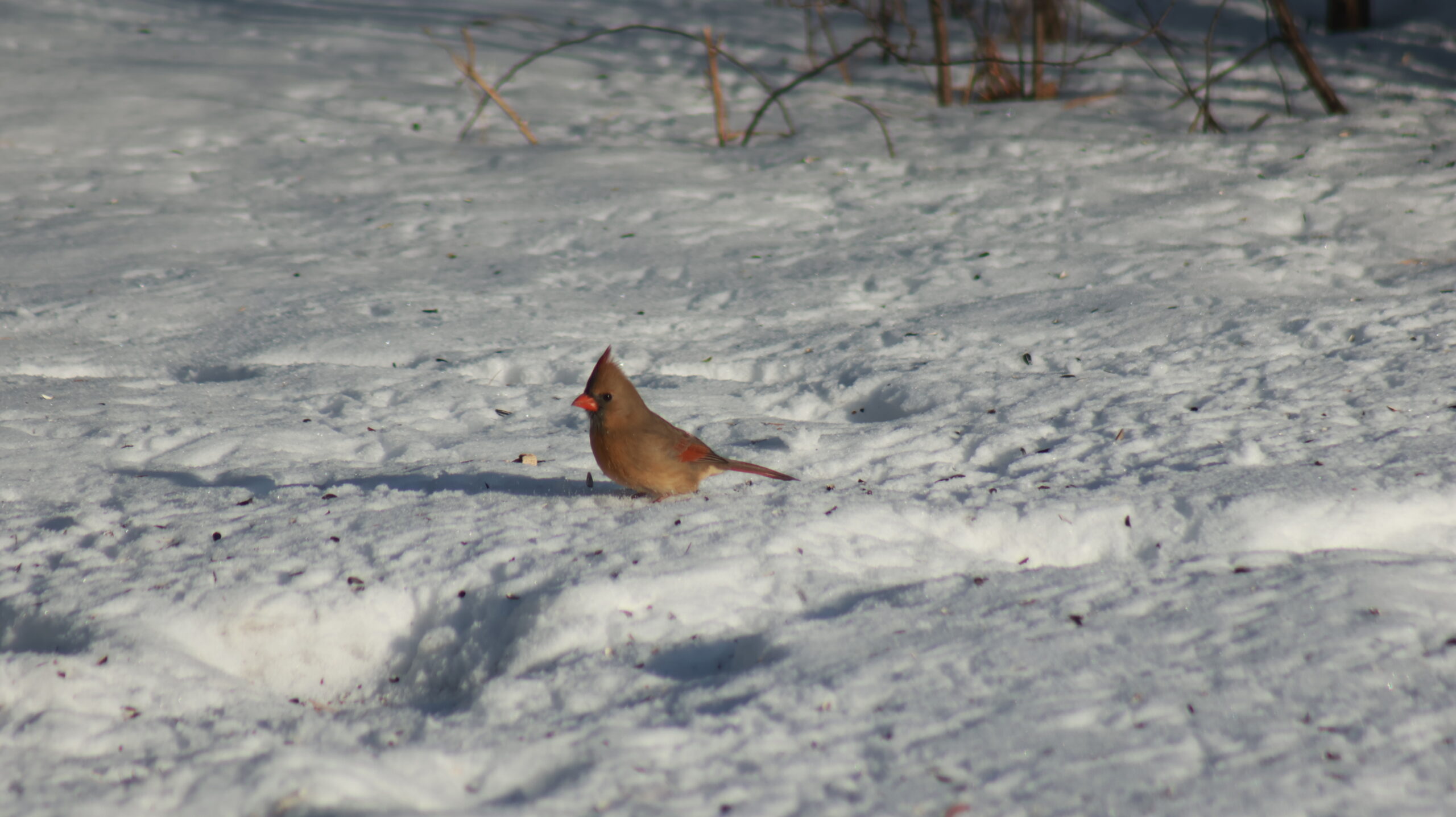 20241215-142750-Unknown-2024