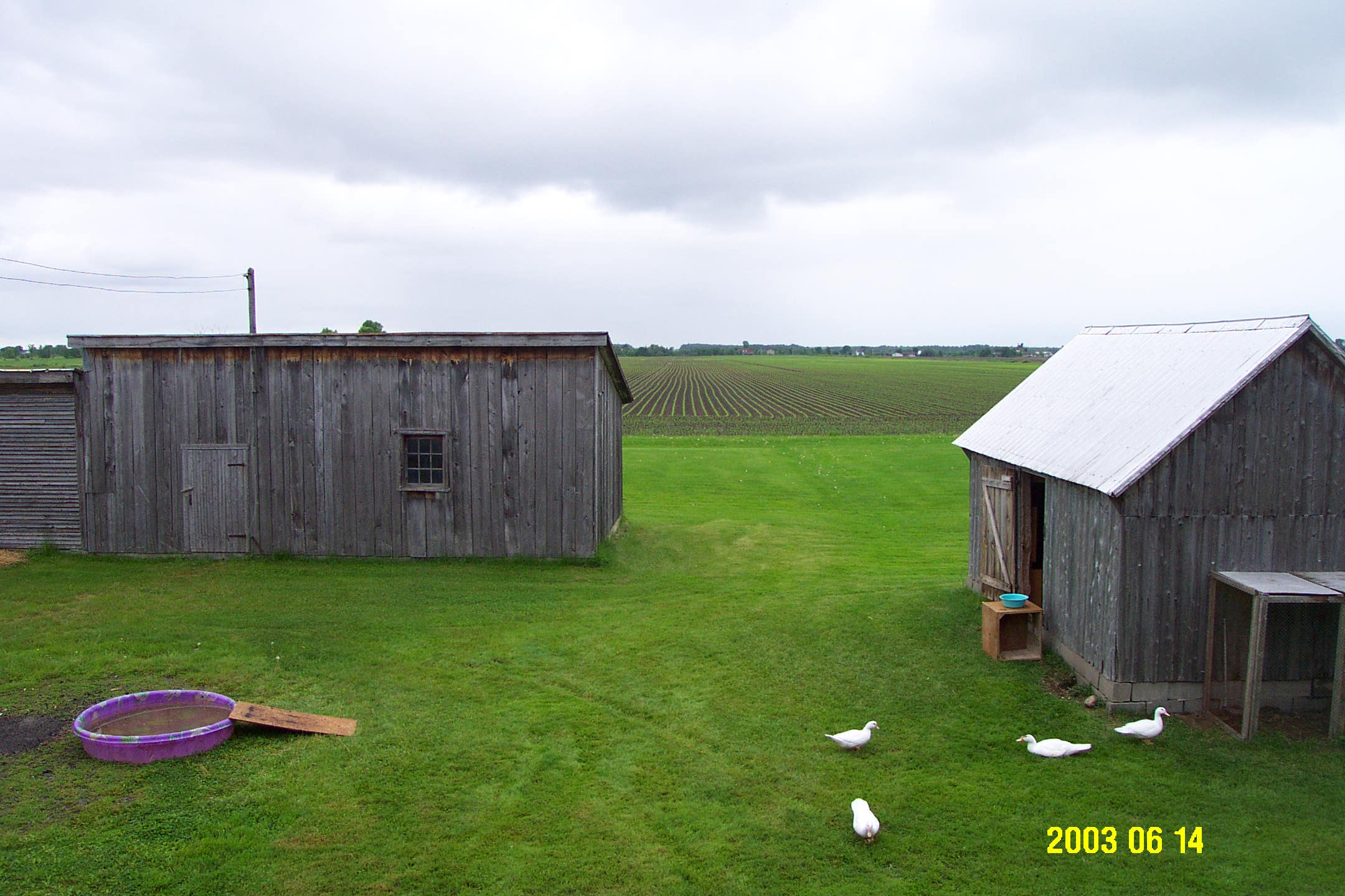Côté Nord Ouest de la porcherie